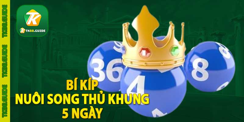 Nuôi Song Thủ Khung 5 Ngày | Cách soi cầu, nuôi lô chuẩn 3 Bí kíp nuôi song thủ khung 5 ngày