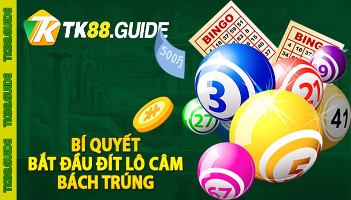 Đầu đít lô câm là gì? Đánh con gì khi đầu đít lô câm xuất hiện 4 Bí quyết bắt đầu đít lô câm bách trúng