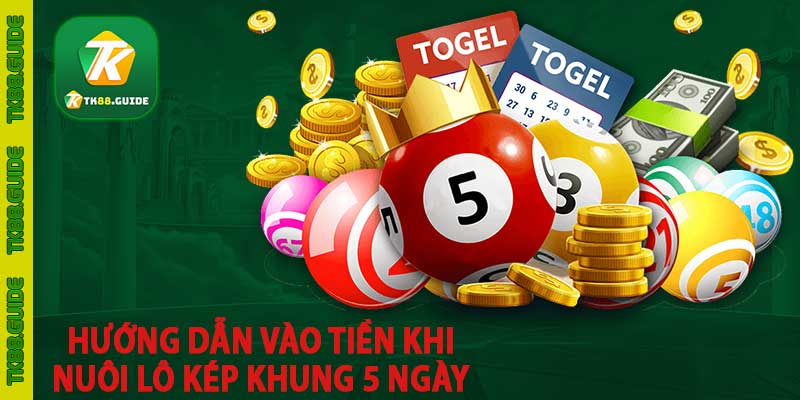 Nuôi lô kép khung 5 ngày | Bí kíp nuôi đâu thắng đó 4 Hướng dẫn vào tiền khi nuôi lô kép khung 5 ngày