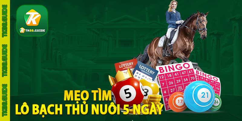 Nuôi lô bạch thủ khung 5 ngày | Mẹo nuôi bách chiến, bách thắng 4 Mẹo tìm lô bạch thủ nuôi 5 ngày