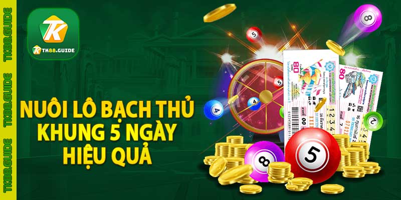 Nuôi lô bạch thủ khung 5 ngày | Mẹo nuôi bách chiến, bách thắng 3 nuôi lô bạch thủ khung 5 ngày hiệu quả